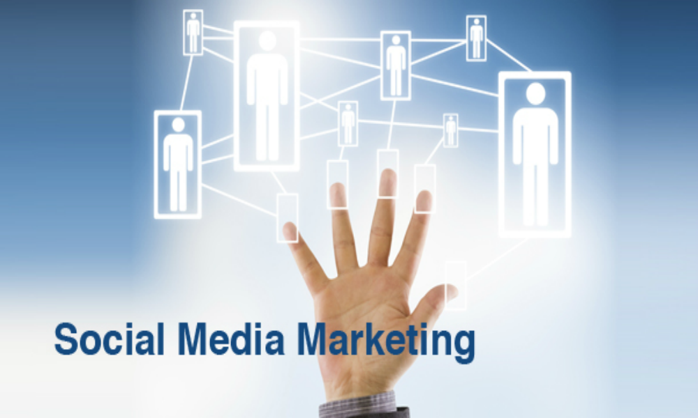 SEO Company